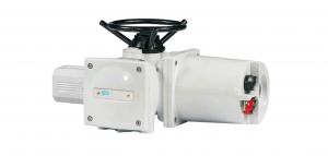 Manual   Multi Turn Actuators  With Flexible Drive Connection 50 / 60 Hz