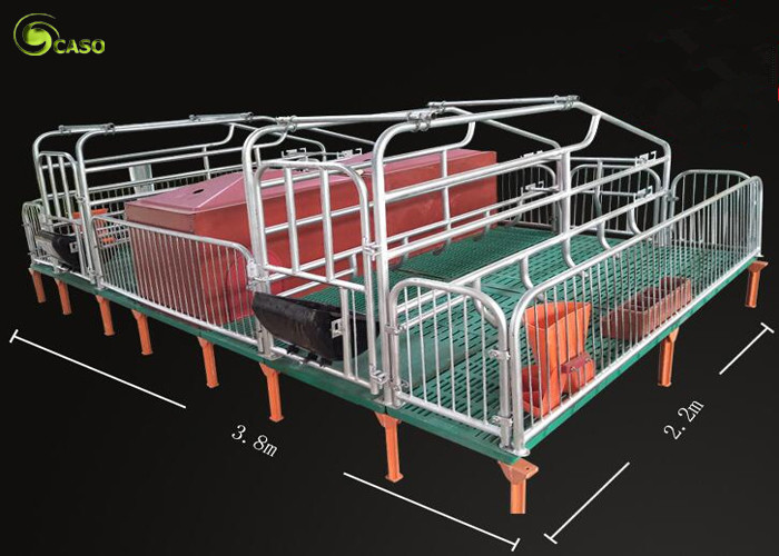 China Pig Breeding Equipment Galvanized Pig Limit Pen Elevated Pig Farrowing Crate wholesale