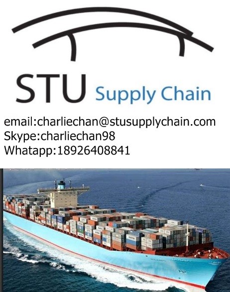 Best and cheap Sea shipping rate from China to PUERTO SANDINO,Nigaragua for sale