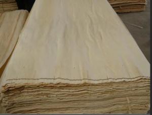 China Baltic White Birch Natural Wood Veneer 2500*1270mm Size With Nice Surface wholesale