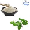 CAS 18449-41-7 Centella Asiatica Extract Powder 80% Madecassic Acid for sale