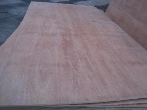 China Furniture Grade Poplar Core Plywood 1220*2440mm Size High Bending Strength wholesale