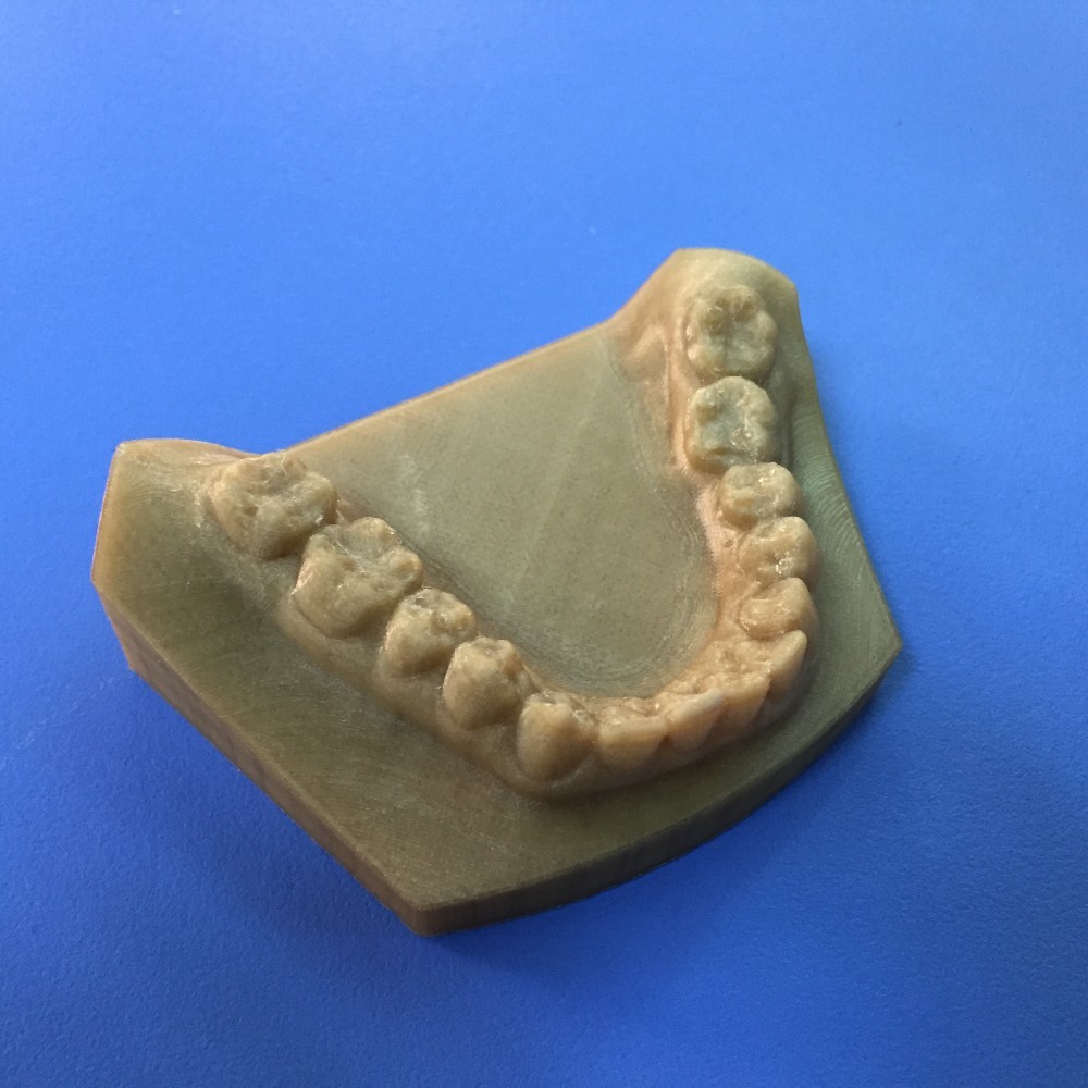 China High Precision Gray Tooth Model FDM 3D Printing Service For Medical Industry wholesale
