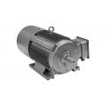 IP55 Ultra High Efficiency Electric Motor , YE4 Series 3 Phase Induction Motor for sale