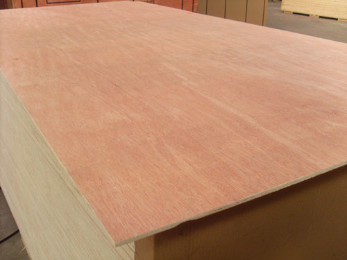 China Bintangor Face / Back Commercial Plywood 8% - 14% Moisture Content No Harm For Kids wholesale