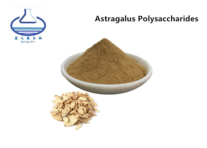 Polysaccharides Pure Plant Extracts , Astragalus Extract Powder For Health Products for sale