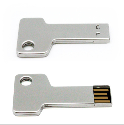 China Silver Color Keychain Usb Thumb Drive  For Business Hot Insert And Pull No Drive Needed wholesale