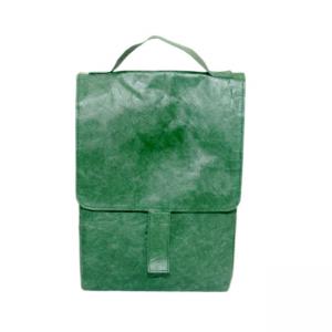 China Eco-friendly Dupont Picnic Cooler Bag Waterproof Tyvek Paper Insulated Lunch Bag wholesale