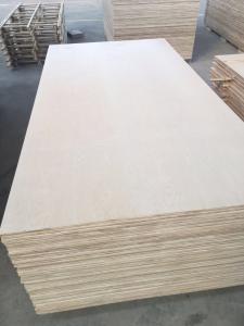 China 1220*2440mm Cabinet grade White Birch Plywood , Poplar/Eucalyptus Core wholesale