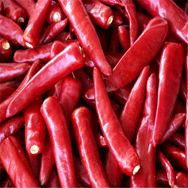 Zero Additive Erjingtiao Dried Chilis Pungent Dehydrated Hot Peppers for sale