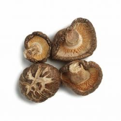 China High Protein Dried Shiitake Mushroom With Mushroom Taste And Smell for sale