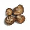 Dehydrated Dried Shiitake Mushrooms 4-5CM Cap For Restaurant for sale