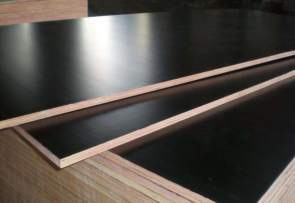 China Black Color Phenolic Film Faced Plywood 12mm - 18mm Thickness Environmental Friendly wholesale