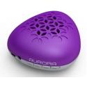 Fantastic purple bluetooth speaker with hands-free function BS5011 for sale