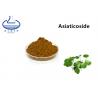 Centella Asiatica Leaf Pure Plant Extracts Asiaticoside 80% CAS 18449-41-7 for sale