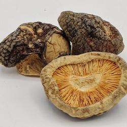 China Medium Size Dried Shiitake Mushrooms Flakes Dry Place Storage for sale