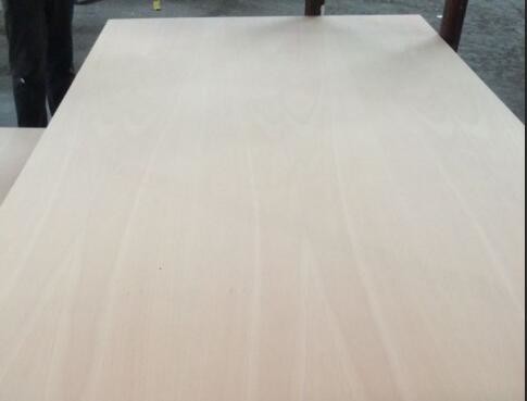 China Thickness 2.5 - 25mm Fancy Plywood P/S Cut Euro Beech Plywood FSC Assured wholesale