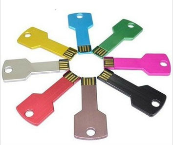 Key Shape USB Flash Drive,key Memory Stick dp307 for sale