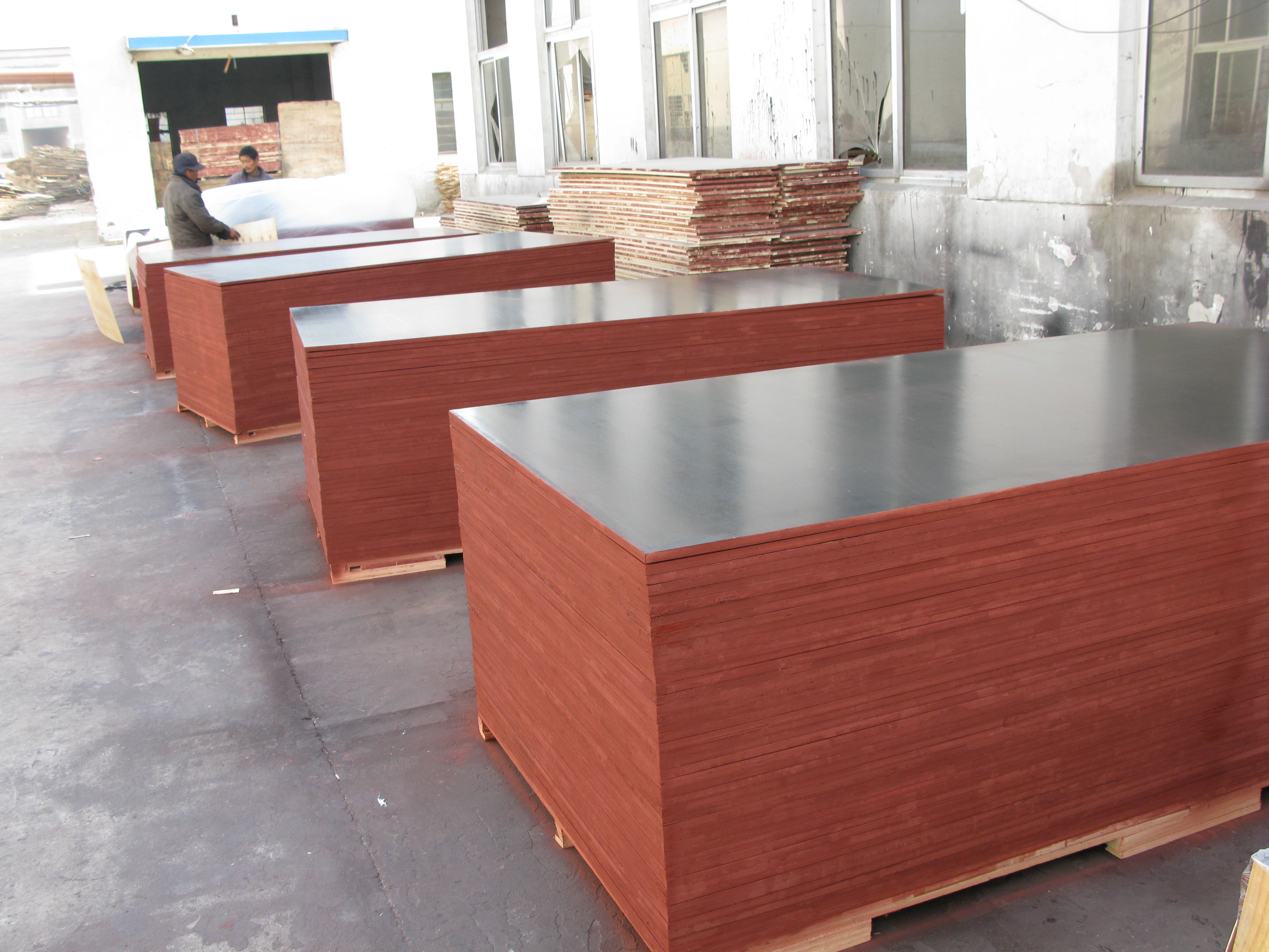 China Good quality FJ plywood, Phenolic plywood, finger joint wholesale