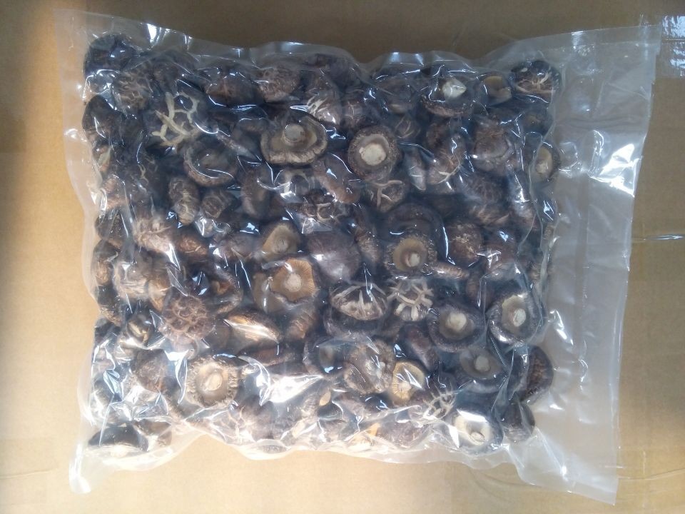 Organic Premium Grade Dried Shiitake Mushroom Healthy And Delicious for sale