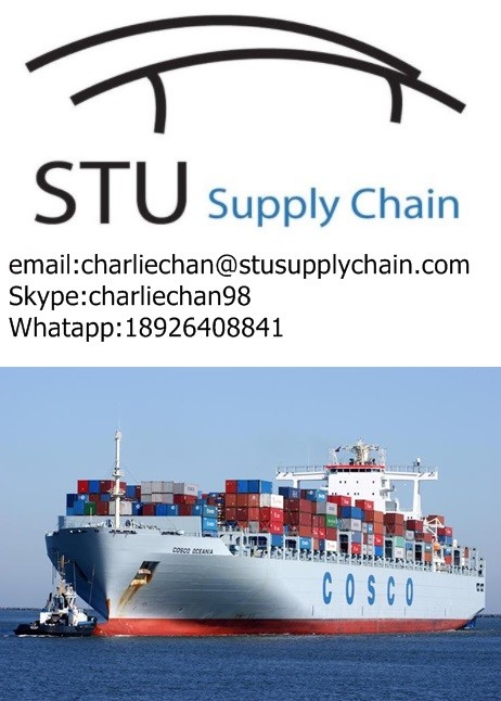 Best Sea Shipping forwarder to PUERTO SEGURO,Paraguay for sale