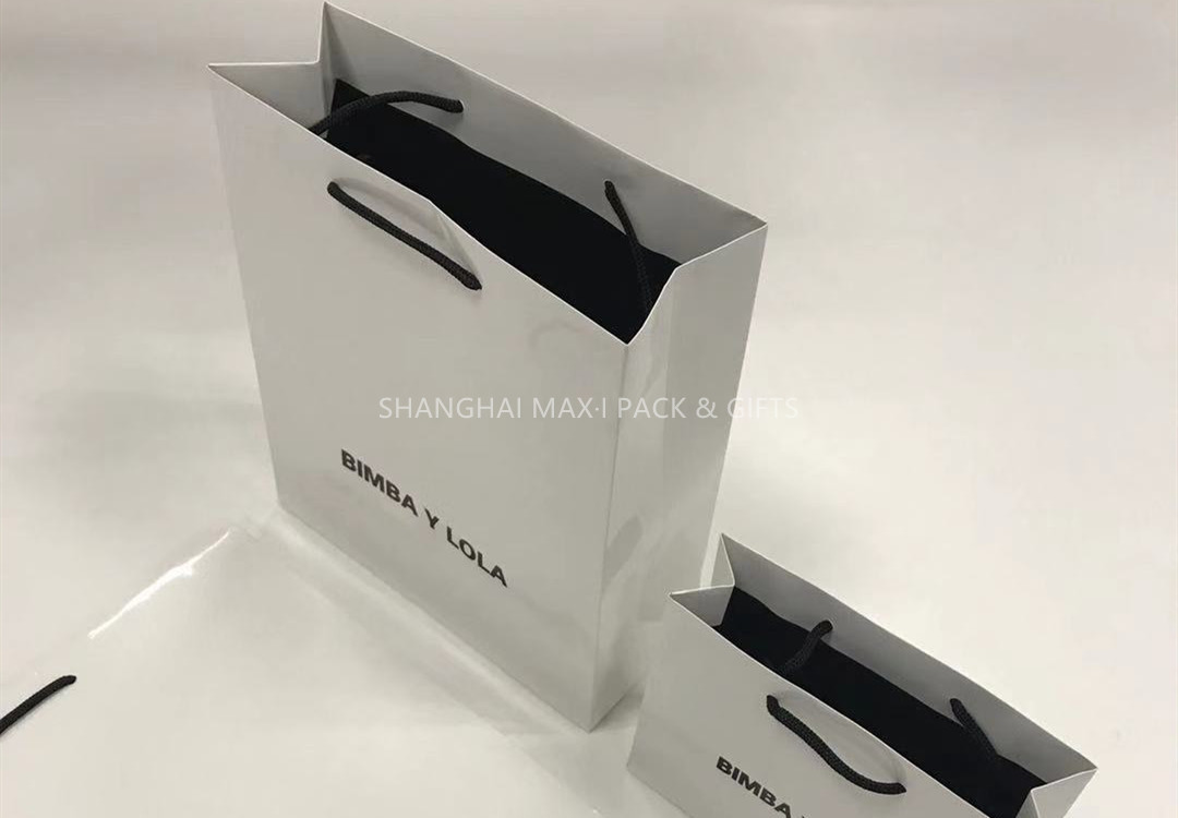 China Shopping Branded Paper Bags With My Logo Foil Printing With Black String Handle wholesale