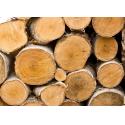Romanian Beech Wood Timber Supplier for sale