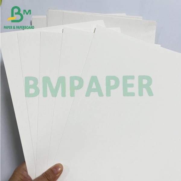 Noddles Bowl 225gsm Waterproof PE Coated Coffee Cup Paper Roll