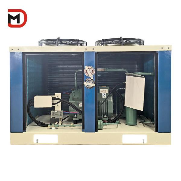 Cold Storage Walk In Freezer Room Condensing Unit With Air Cooled Refrigerant Way