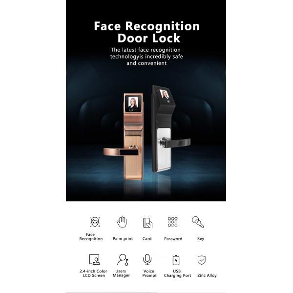 Security Big Panel Fingerprint Zinc Alloy Door Lock IR Face Recognition