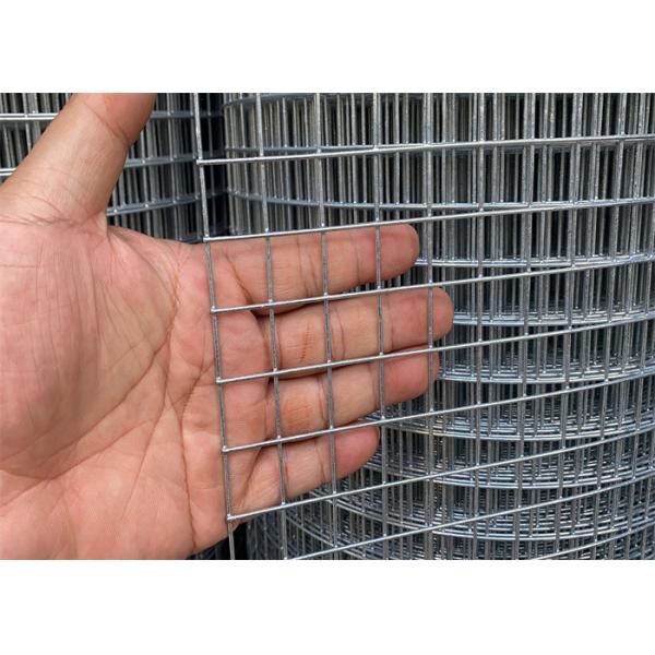 Hot Dipped 1/2 Inch Welded Wire Mesh Roll Smooth Surface