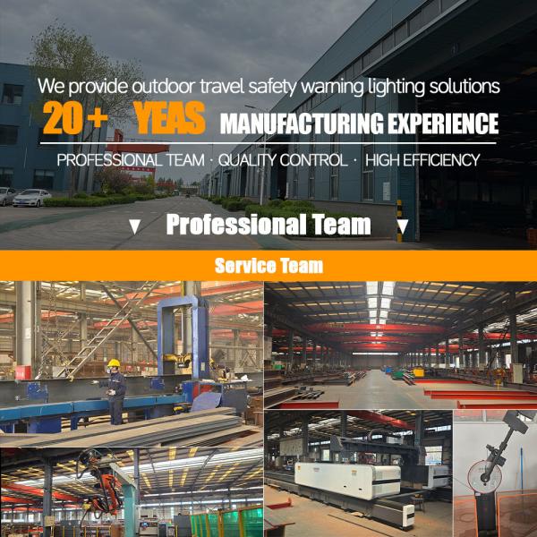 Custom Steel Frame Building for Warehouse and Factory Construction