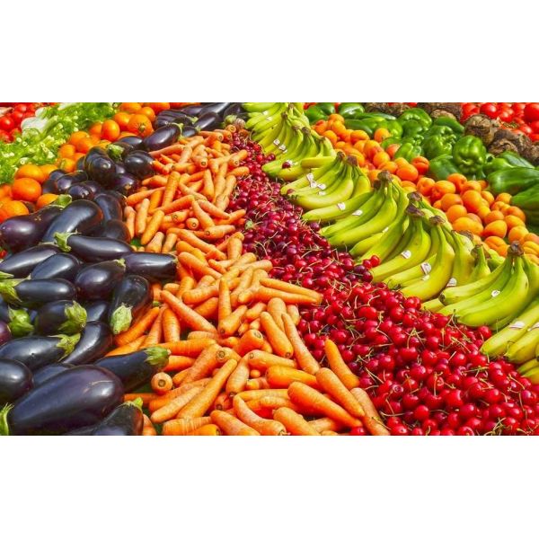 all purpose bird deer netting