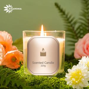 China Custom Decorative Aroma Scented Candle Aromatherapy Type MSDS wholesale