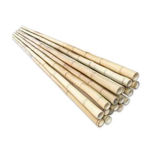 China Gardending 4M 12 Foot Decorative Long Thick Bamboo Pole wholesale