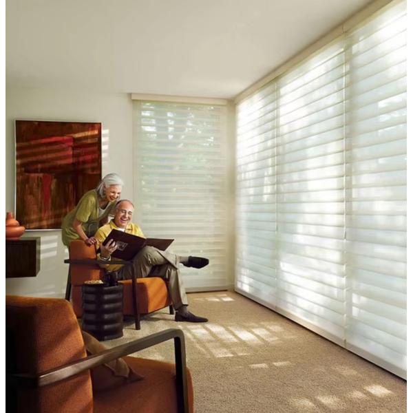 Windproof Blackout Light Colored Blackout Curtains Motorised Window Shades Shutter 100% Polyester