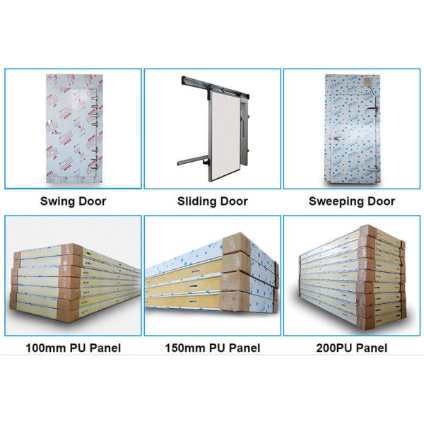 Commercial Cold Room Freezer Container For Frozen Vegetable And Fish Seafood