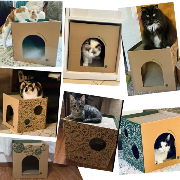 Easy Fold Corrugated Playhouse for Pets Eco-Friendly Foldable Paper Cat Scratch Cardboard House Indoor