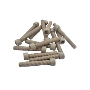 China High Strength SGS Peek Bolts Machined Plastic Parts Chemical Resistance wholesale