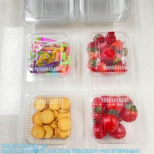 Square Hinged Food Container,Plastic Take Out Containers,Disposable Clamshell