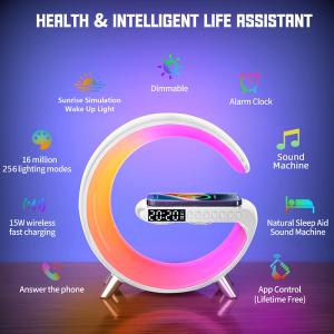 Multiscene Dimmable G Smart Light Sound Machine RGB LED G Shaped Lamp