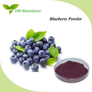 China Anti Aging Fruit Vegetable Powder Supplement Soluble Blueberry Fruit Powder wholesale