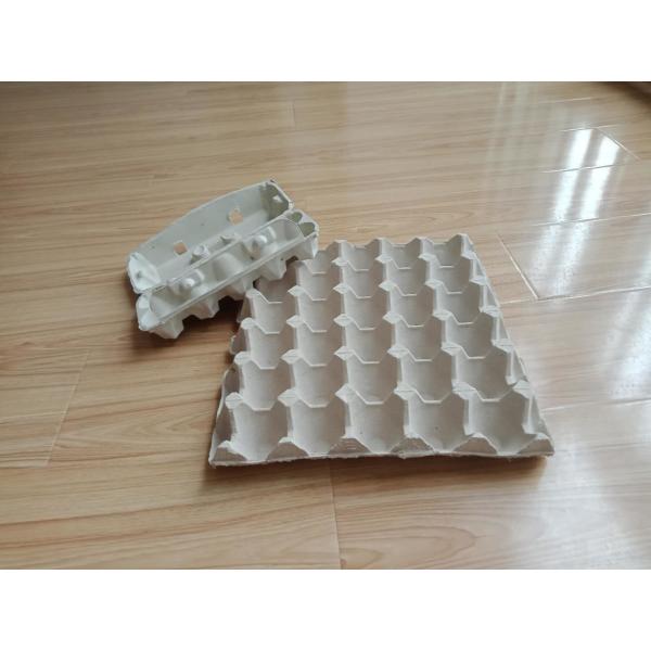 Durable Waste Paper Egg Carton Making Machine Reciprocating Forming Type 1000pcs