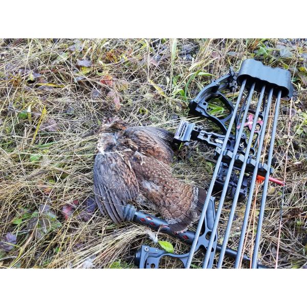 Quality .204"(5.18mm) Small Diameter Straightness.003-.001" Spine 250/300/350/400/500/600 For Turkey And Deer Hunting Season for sale