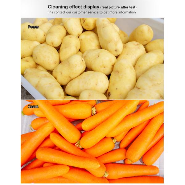 Large scale brush Washing cleaning and peeling machine Ginger Potato Carrot Taro Sweet potato Yam Saiko persimmon papaya horseshoe macadamia nut
