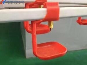 China Fully Automatic Poultry Drinker , Broiler Chicken Drinker Customized wholesale