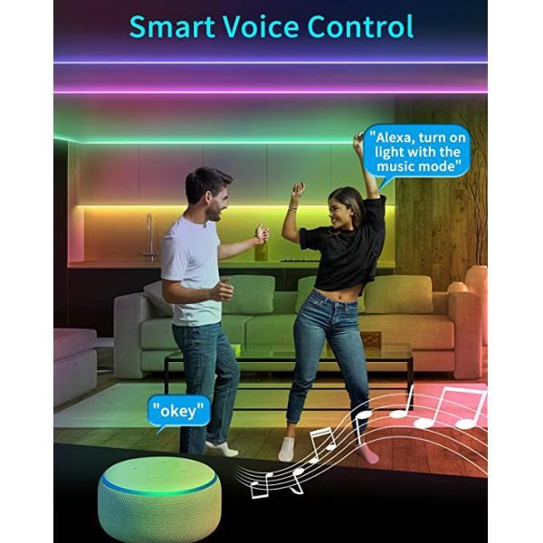 DC 24V Smart LED Strip Lights Remote Color Changing For Room Kitchen Bedroom Decoration