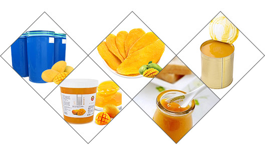 Aseptic Bag Filling SUS316L 20t/H Mango Processing Line