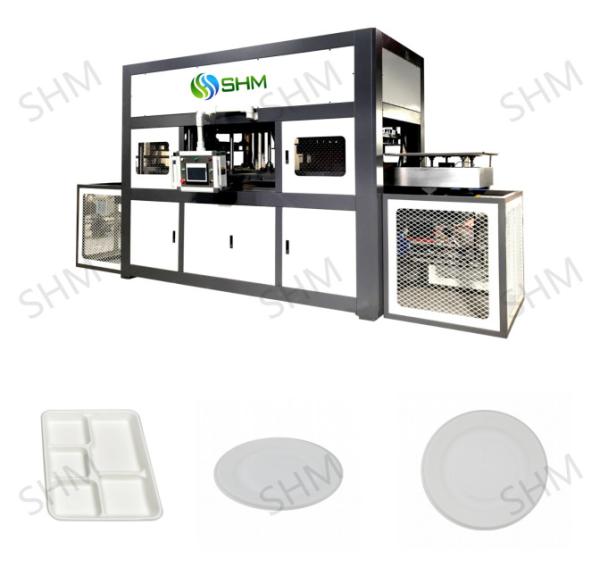 Biodegradable Pulp Molding Tableware Machine Customized Pulp Tray Machine Line