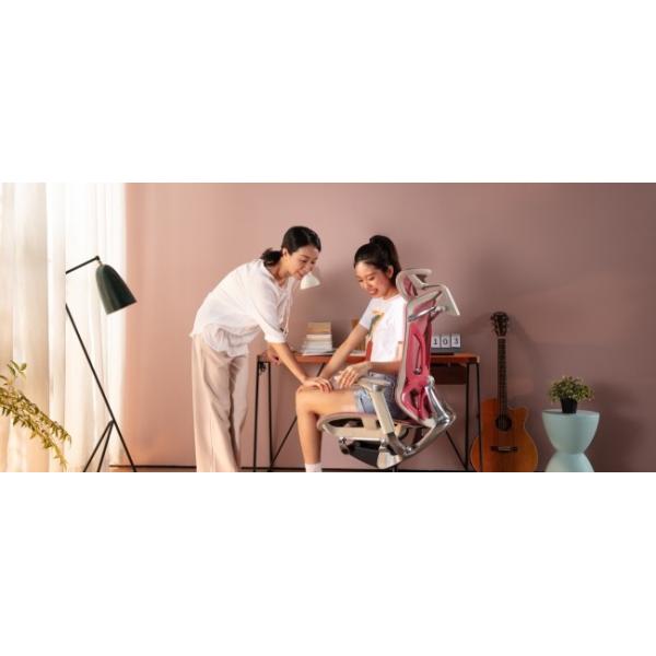 Polished Butterfly Ergonomic Office Chair Mesh Computer Home Swivel Adjustable